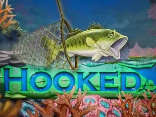 Hooked game cover